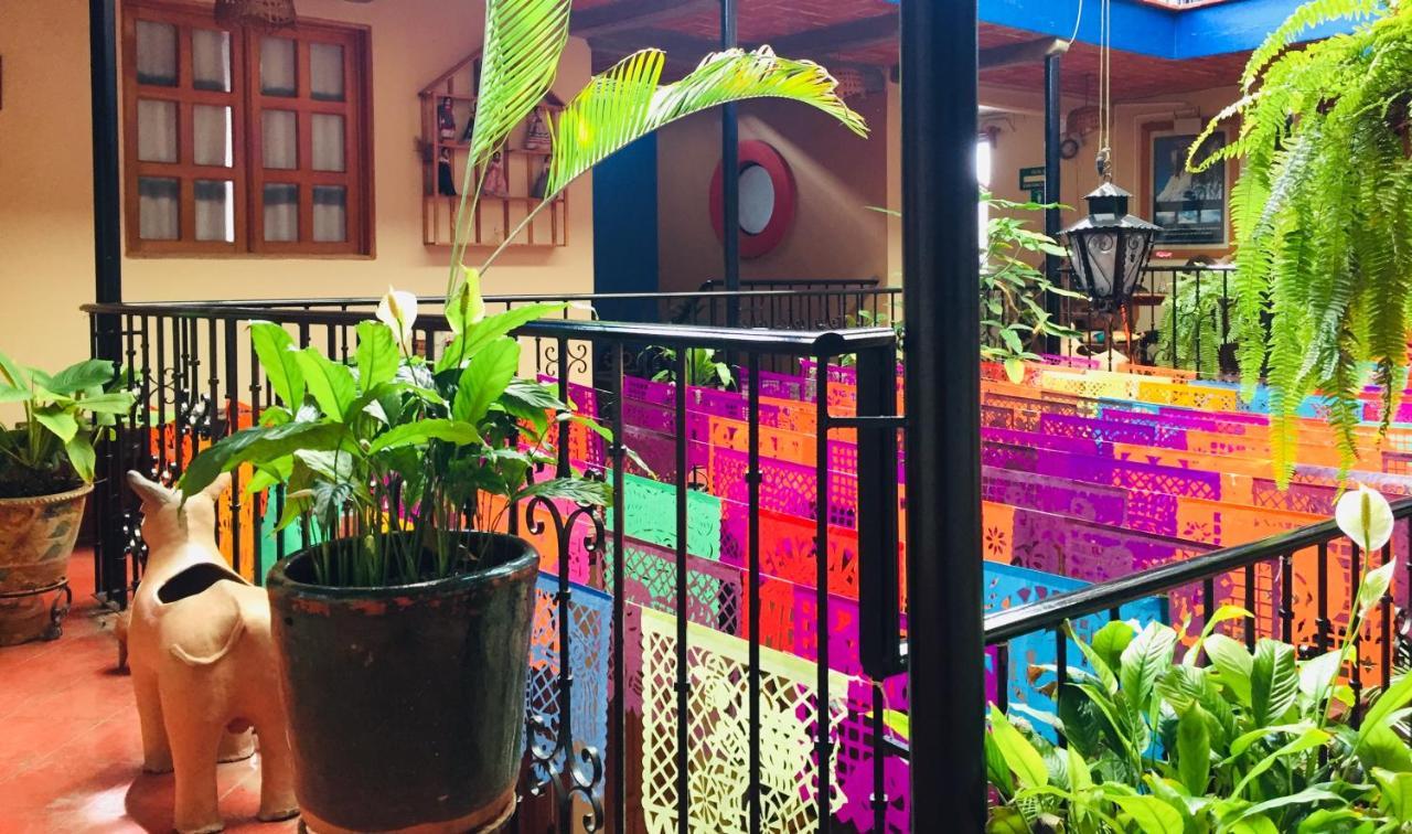 Hotel Cazomalli Oaxaca Exteriör bild