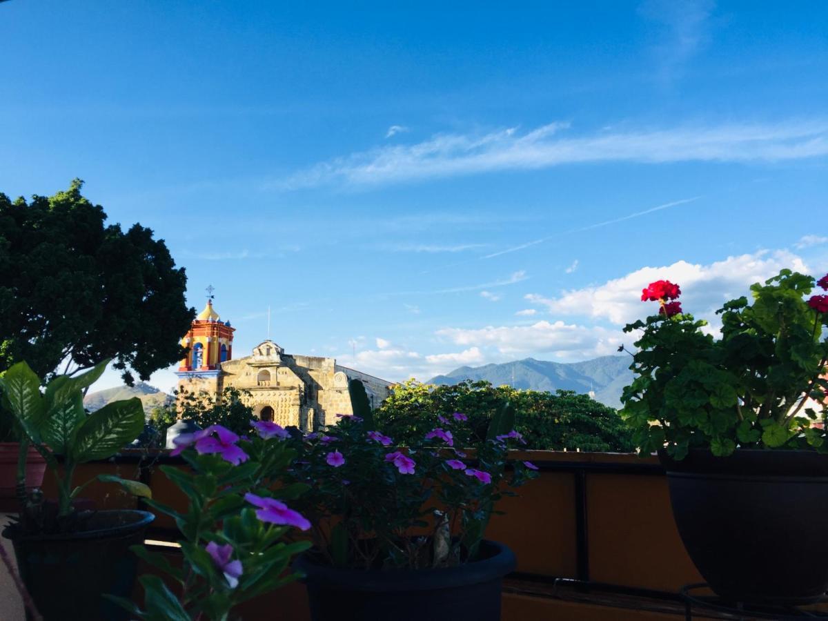 Hotel Cazomalli Oaxaca Exteriör bild