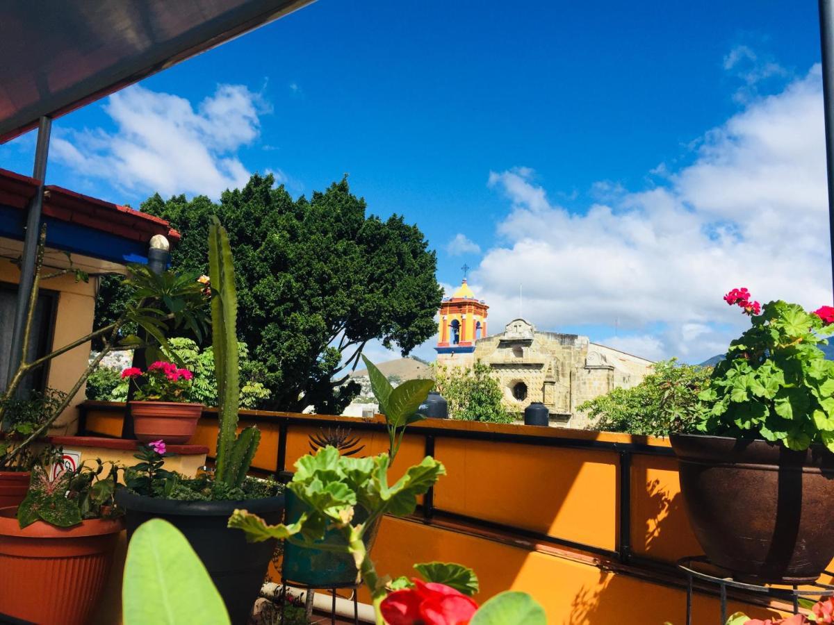 Hotel Cazomalli Oaxaca Exteriör bild